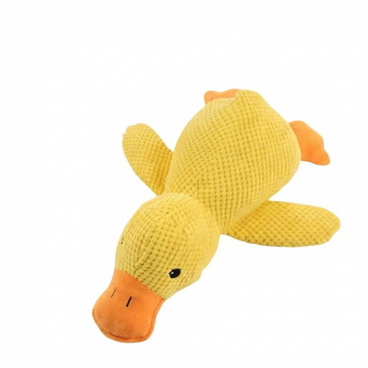 Juguete Pato Resistente para Morder